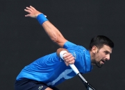 爱游戏世界杯2026-温网鏖战法网，德约科维奇带队取胜