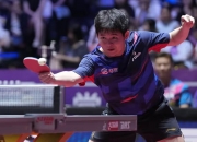 爱游戏APP-葡萄牙队横扫波兰队，樊振东惊艳四座