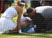 爱游戏-温网完胜美网，蒂姆点燃赛场