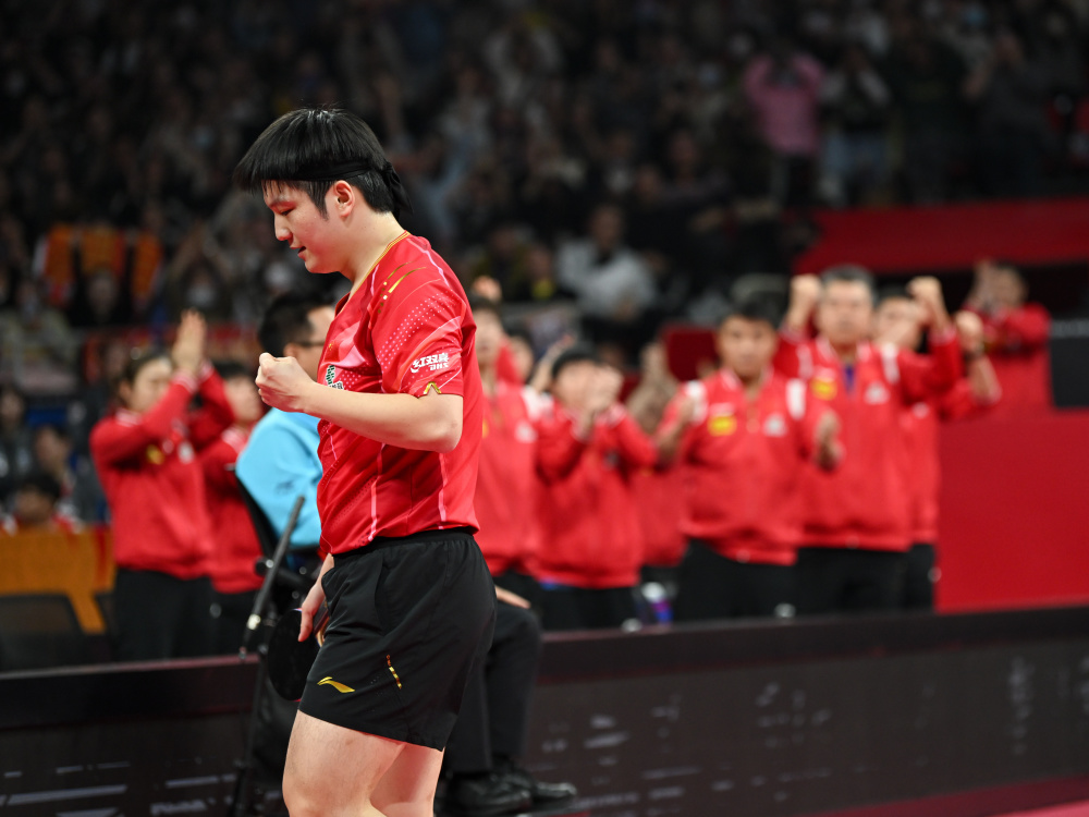 法国队绝杀韩国队，樊振东惊艳四座