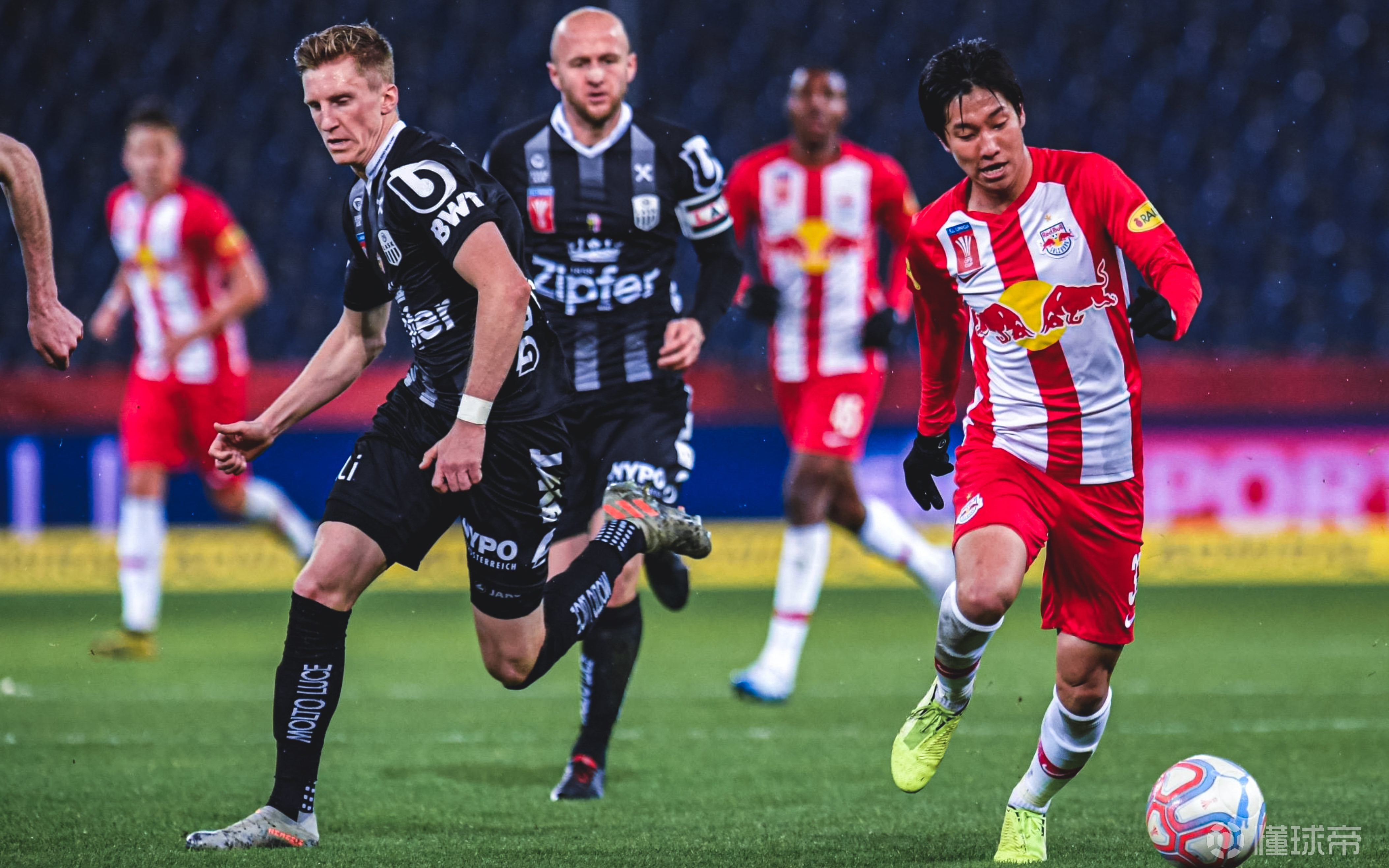 澳洲联赛领头羊确定，珀斯野猫卫冕成功