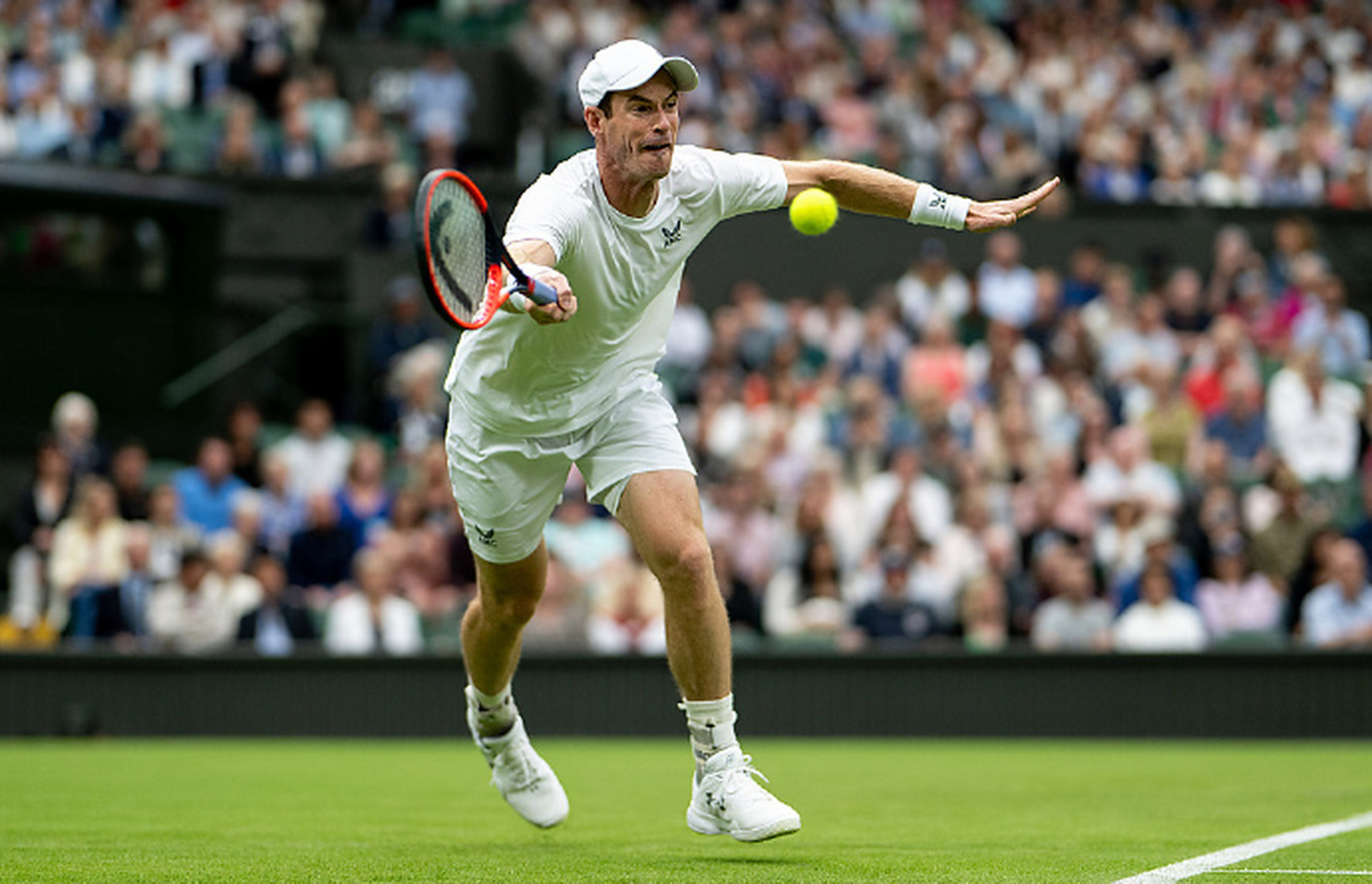 法网轻取蒙特卡洛大师赛，穆雷状态火热