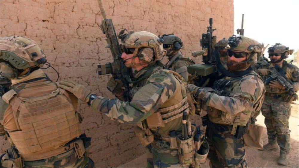 赞布罗塔主场击败对手，实力突出崛起